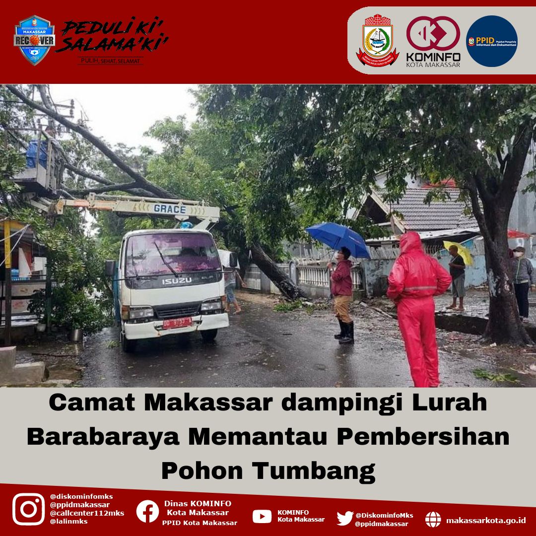 Camat Makassar Didampingi Lurah Bara-Baraya Memantau Pembersihan Pohon Tumbang