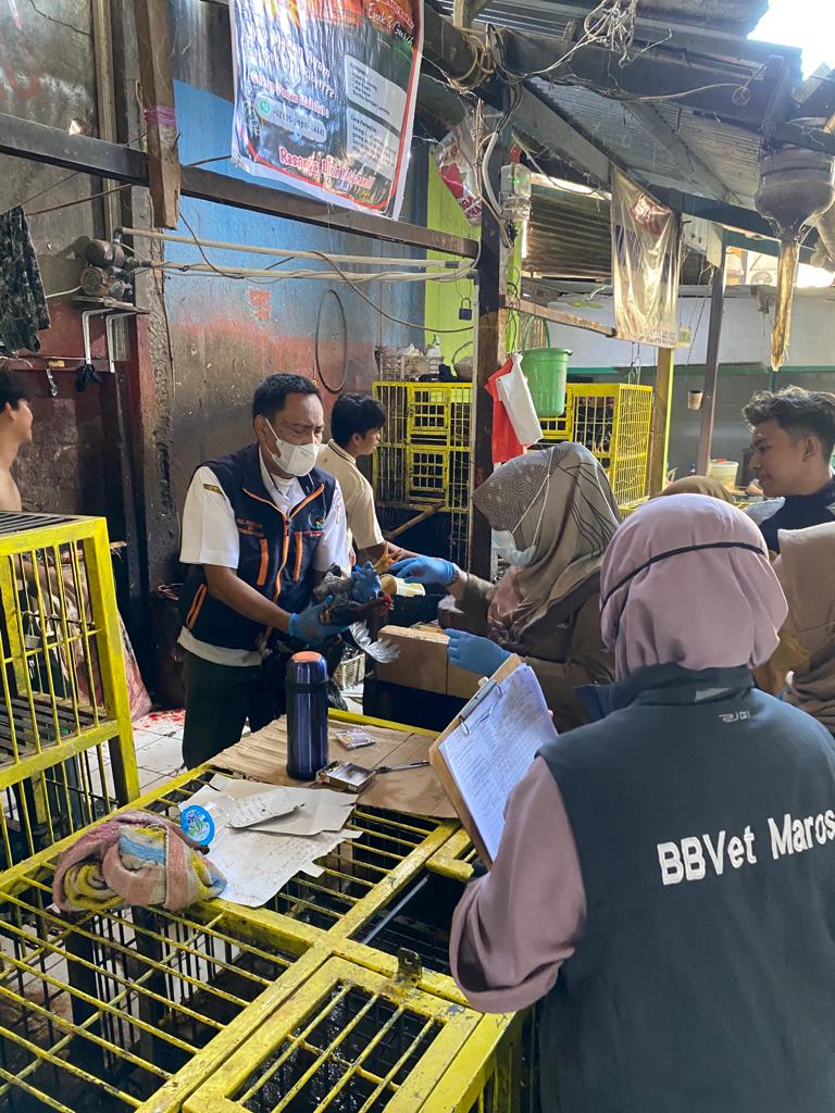 Dinas Perikanan dan Pertanian Bidang Peternakan dan Kesehatan Hewan Mendampingi Tim BBVET Maros Surveylens AI (Avian Influenza)