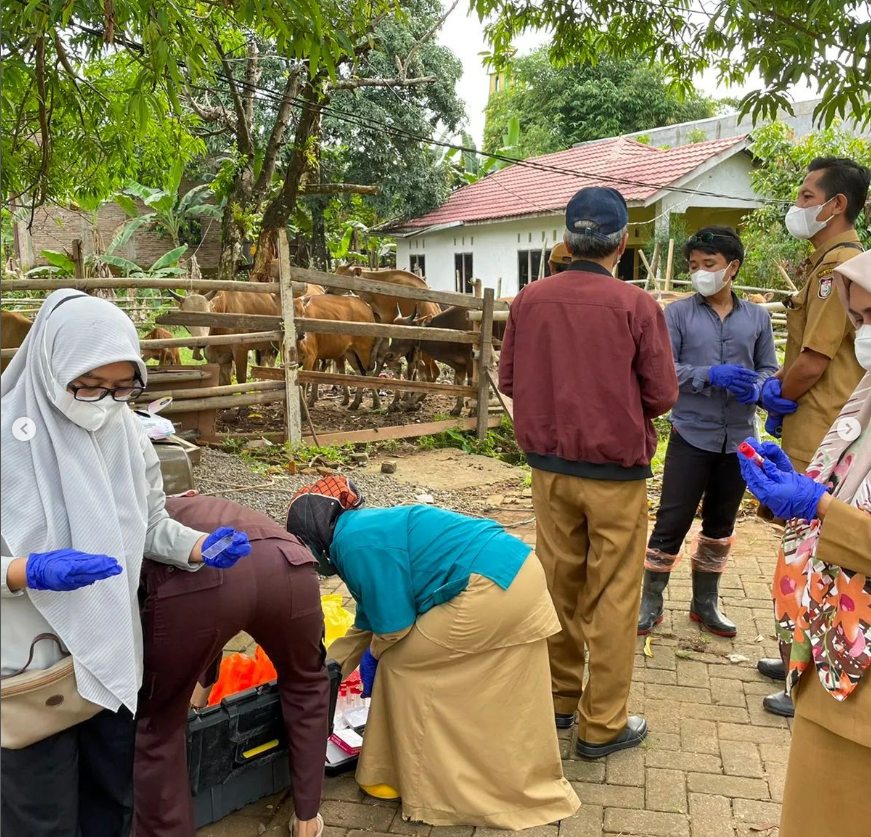 Kegiatan Vaksinasi, Survey Penyakit Mulut dan Kuku serta Pengambilan Sampel Ternak Besar