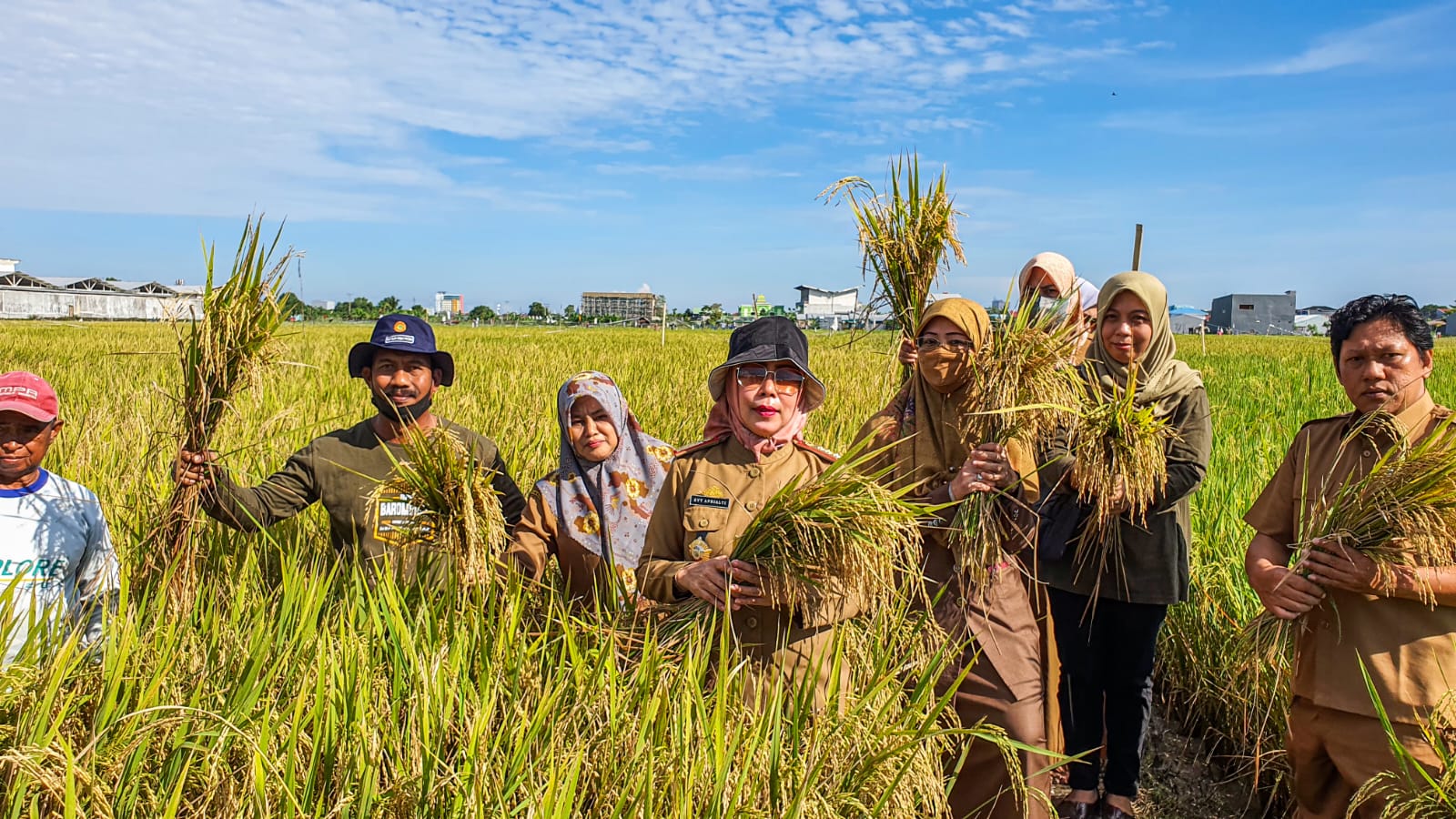 Kelompok tani Sukamaju dan Sukatani bersama unsur pemerintah kota Makassar melakukan panen padi perdana untuk musim tanam Gadu tahun 2022 di areal persawahan 