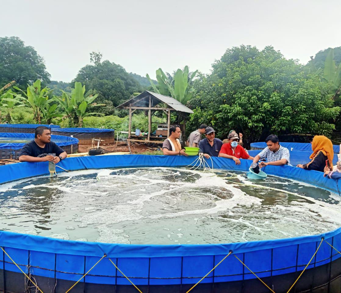 Dinas Perikanan dan Pertanian Kota Makassar ( DP2) bersama kelompok budidaya ikan (Pokdakan) melakukan kunjungan lintas Fish Farm di Kecamatan Pattalassang, Kab. Gowa