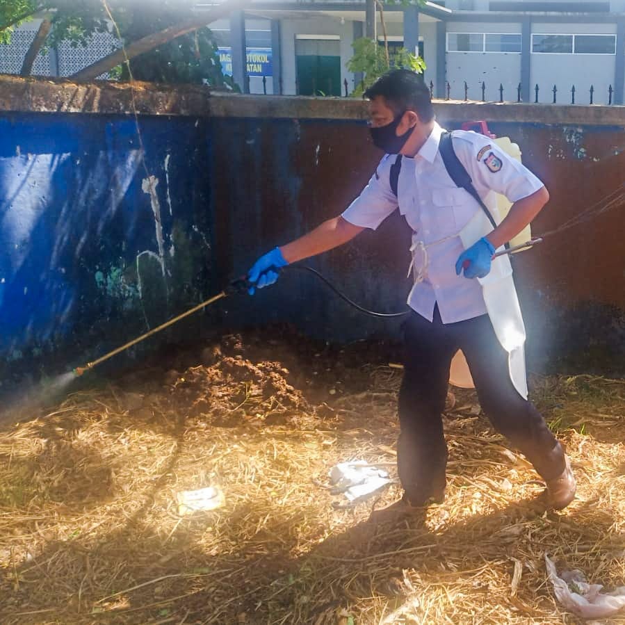 Sejak ditemukannya kasus positif Penyakit Mulut dan Kuku (PMK) pertama di kota Makassar, Satuan Petugas Tim Gerak Cepat (TGC) masih terus melakukan berbagai upaya penanganan baik kepada ternak yang po