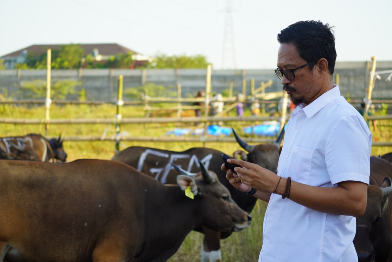 PD RPH Makassar Jamin Kesehatan Hewan Kurban Melalui Karantina Ulang