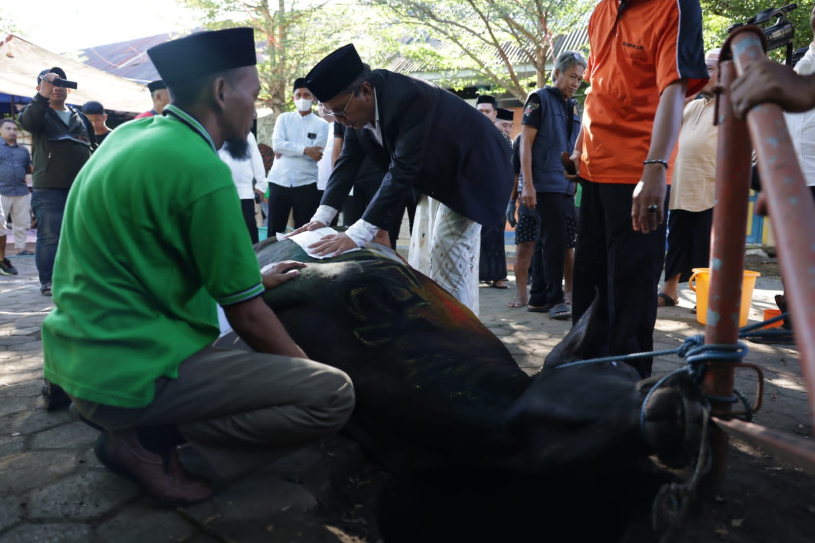 Danny Pomanto Saksikan Pemotongan Hewan Kurban dan Gelar Open House