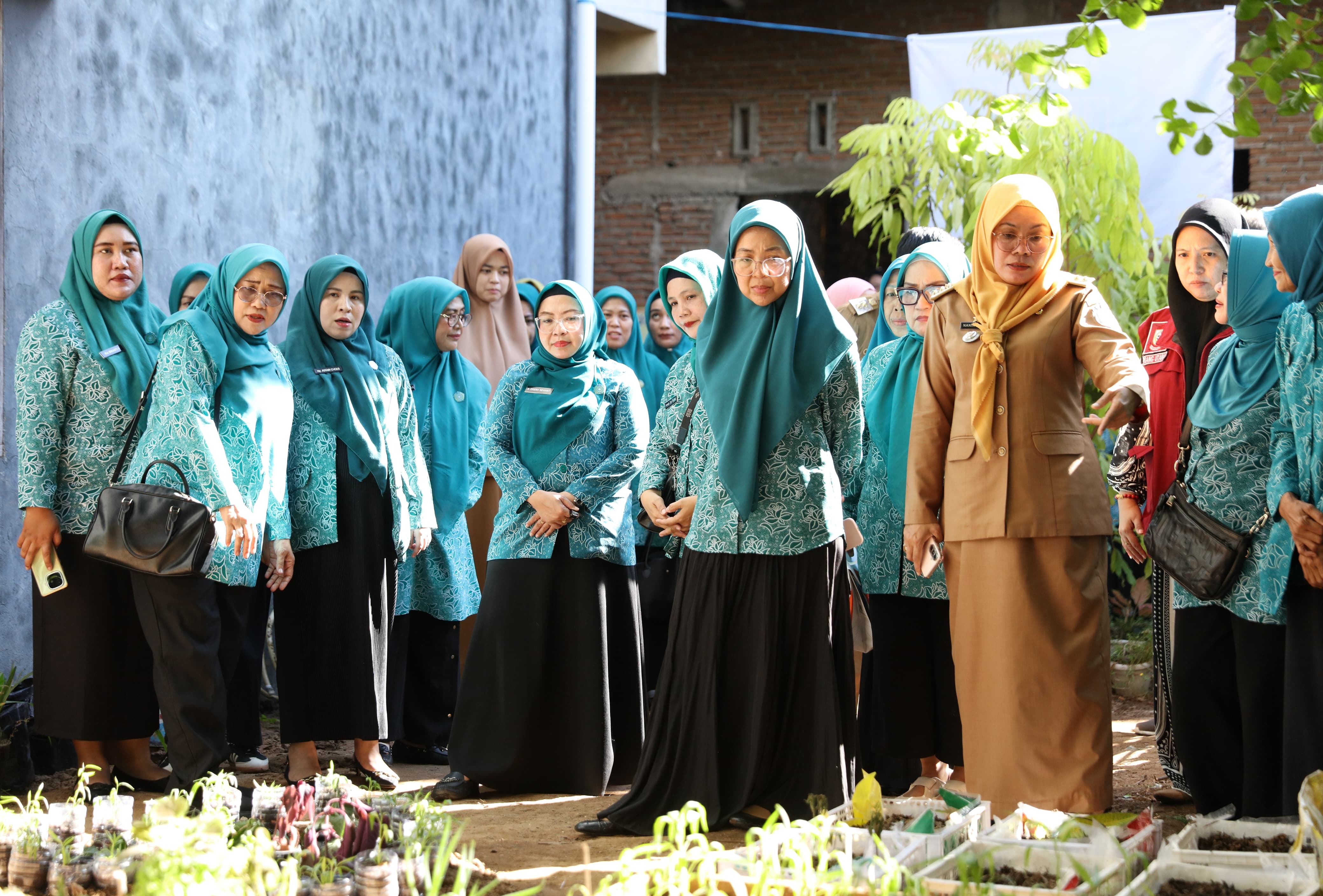 Melinda Aksa Tinjau Kebun Aku Hatinya PKK di Ujung Pandang, Dorong Kemandirian Pangan Keluarga